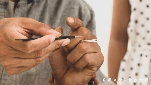 地攤上的指尖藝術(shù) 果核工藝品的非遺魅力與圖文設(shè)計之美